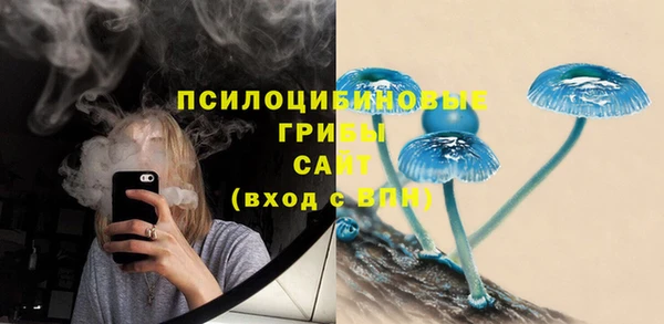Альфа ПВП Баксан