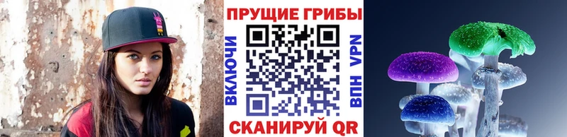 Купить где  Кохма  Галлюциногенные грибы MAGIC MUSHROOMS 